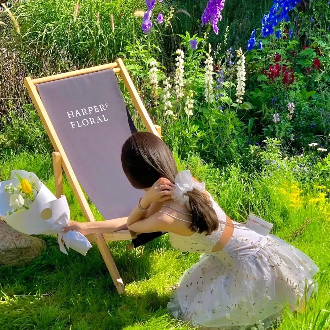 司小姐的马甲又掉了